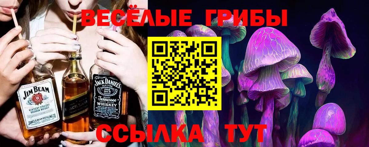 закладки  Галлюциногенные грибы мицелий  Вход с VPN  Тимашёвск 